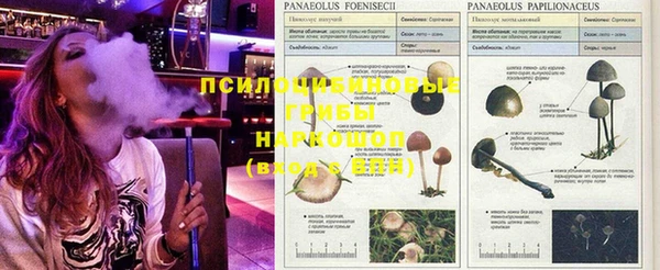 MESCALINE Абаза